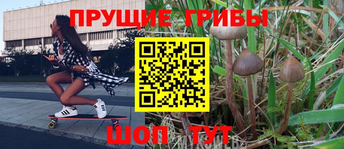 Галлюциногенные грибы Magic Shrooms  Вход с VPN  Северобайкальск 